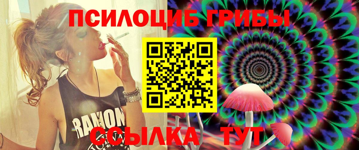 Псилоцибиновые грибы MAGIC MUSHROOMS Городец