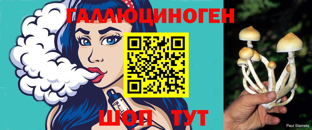 наркота  Галлюциногенные грибы мицелий  Вход с VPN  Галлюциногенные грибы Cubensis  Городец 